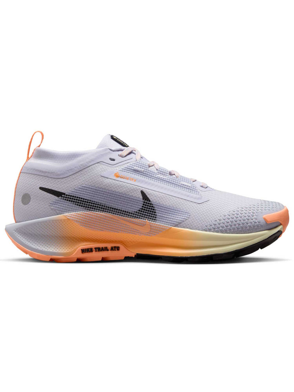 NIKE Обувки W PEGASUS TRAIL 5 GTX