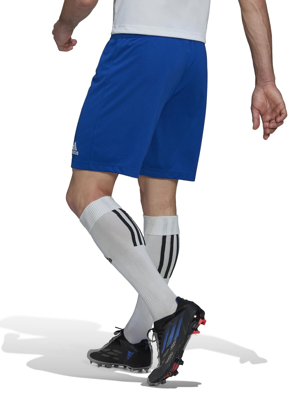 ADIDAS PERFORMANCE Къси панталони Entrada 22