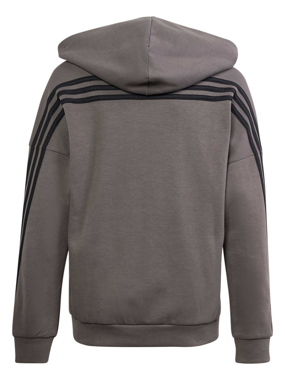 ADIDAS SPORTSWEAR Суитшърт Future Icons 3-Stripes