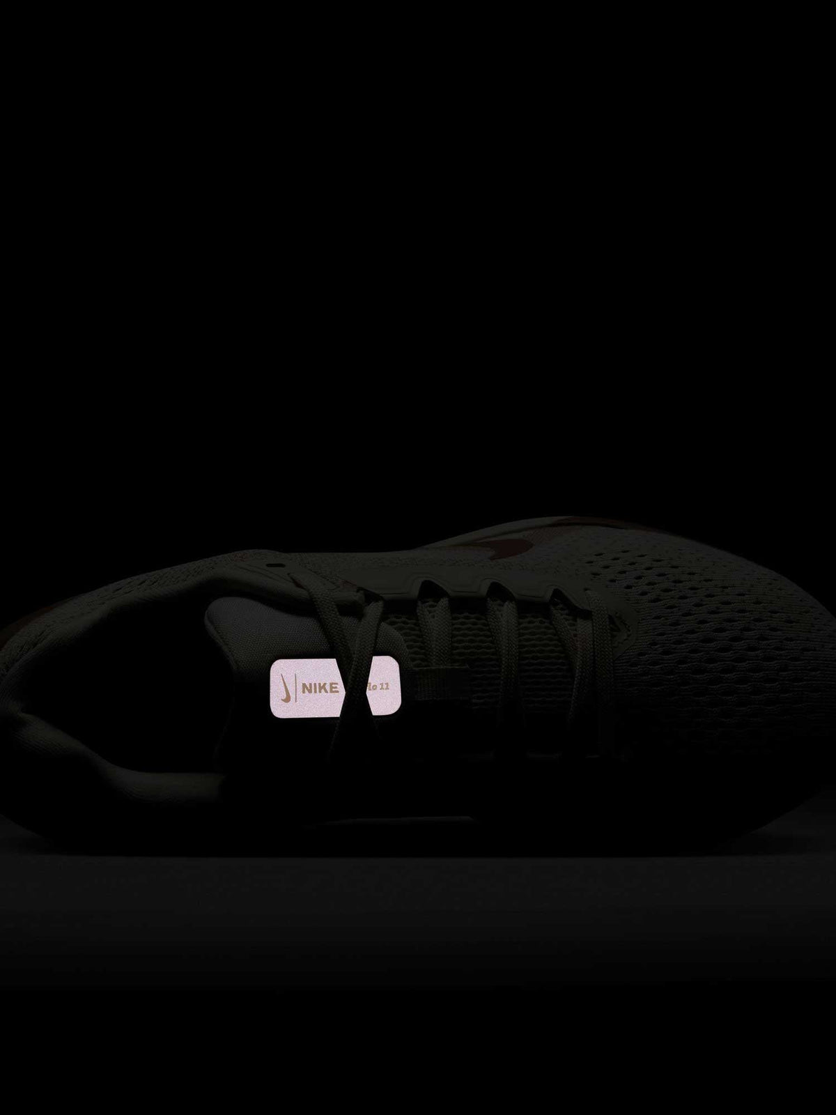NIKE Обувки WMNS AIR WINFLO 11